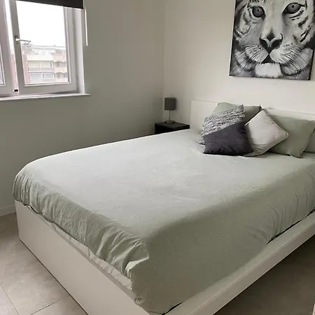 Gezellig 1 Slaapkamer Nabij Het Stadscentrum