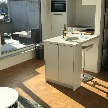 Gezellig 1 Slaapkamer Nabij Het Stadscentrum アパート *